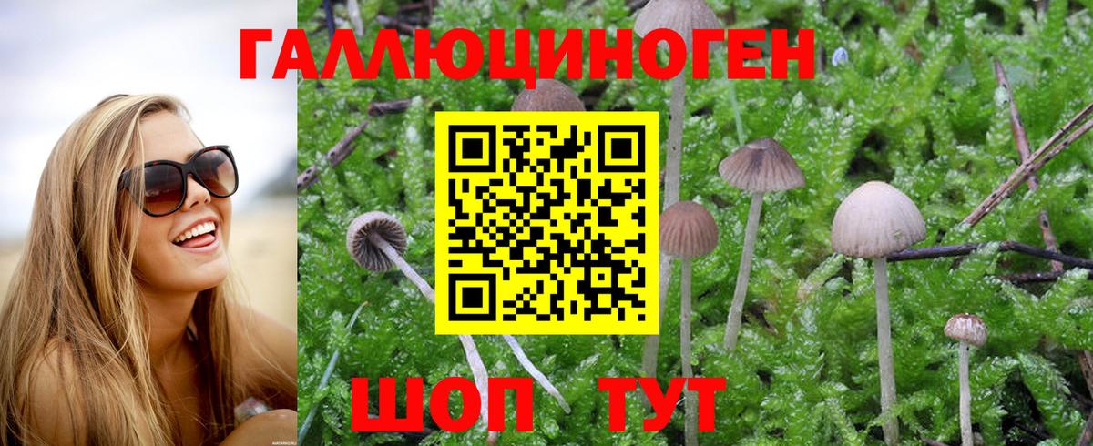 Галлюциногенные грибы Psilocybine cubensis  закладки  Симферополь  Вход с VPN  Галлюциногенные грибы Cubensis 